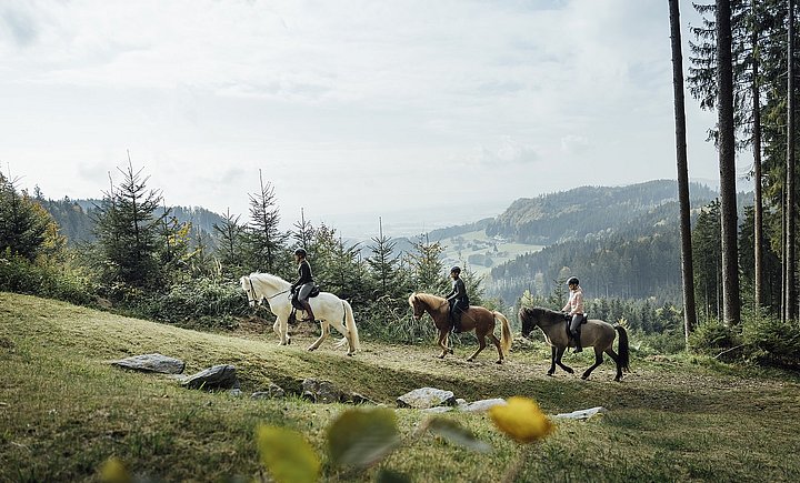 Drei Reiter auf Islandpferden am Waldrand im Reiterdorf Ampflwang im Hausruckwald, sie reiten hintereinander, in der Ferne die Landschaft des Hausruckwaldes.